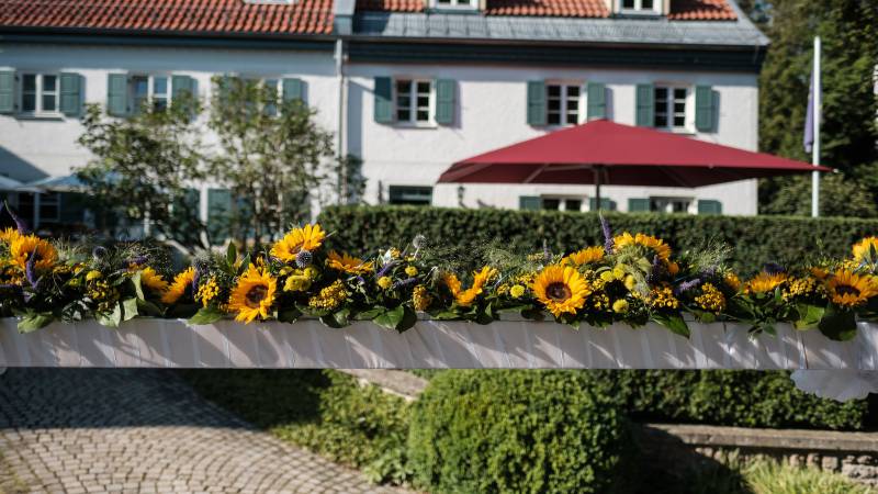 Sonnenblumen im Hotel Seitner Hof in Pullach im Isartal