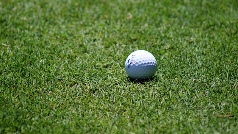 Detailbild Golfball auf Rasen